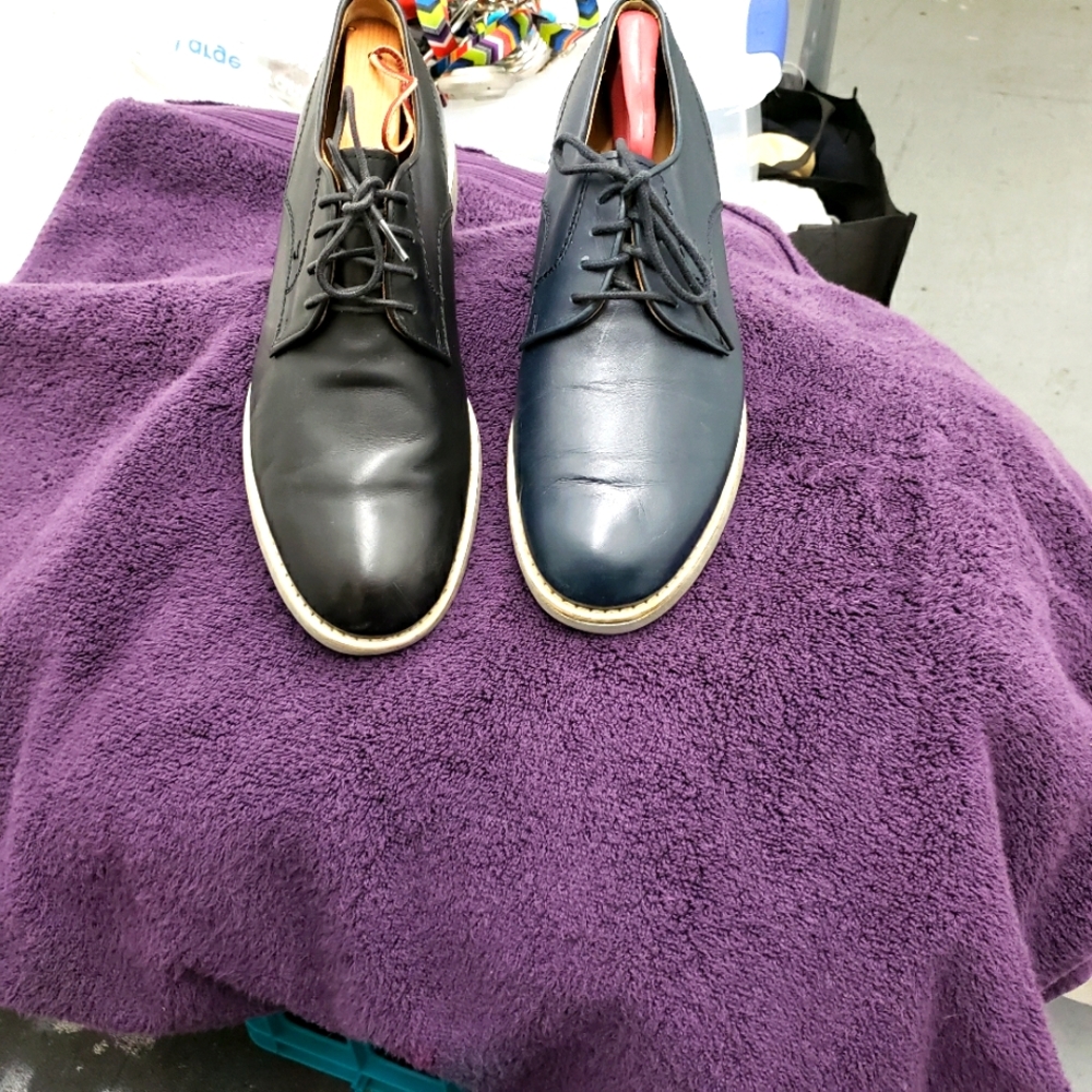Tod's Mens shoes